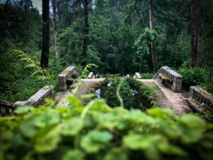 hello thrive r2ghbpjqa3m unsplash