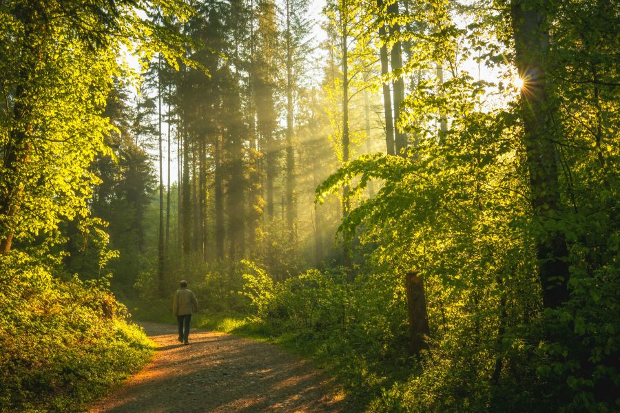jan huber ewzwaus1wys unsplash sig journeyx
