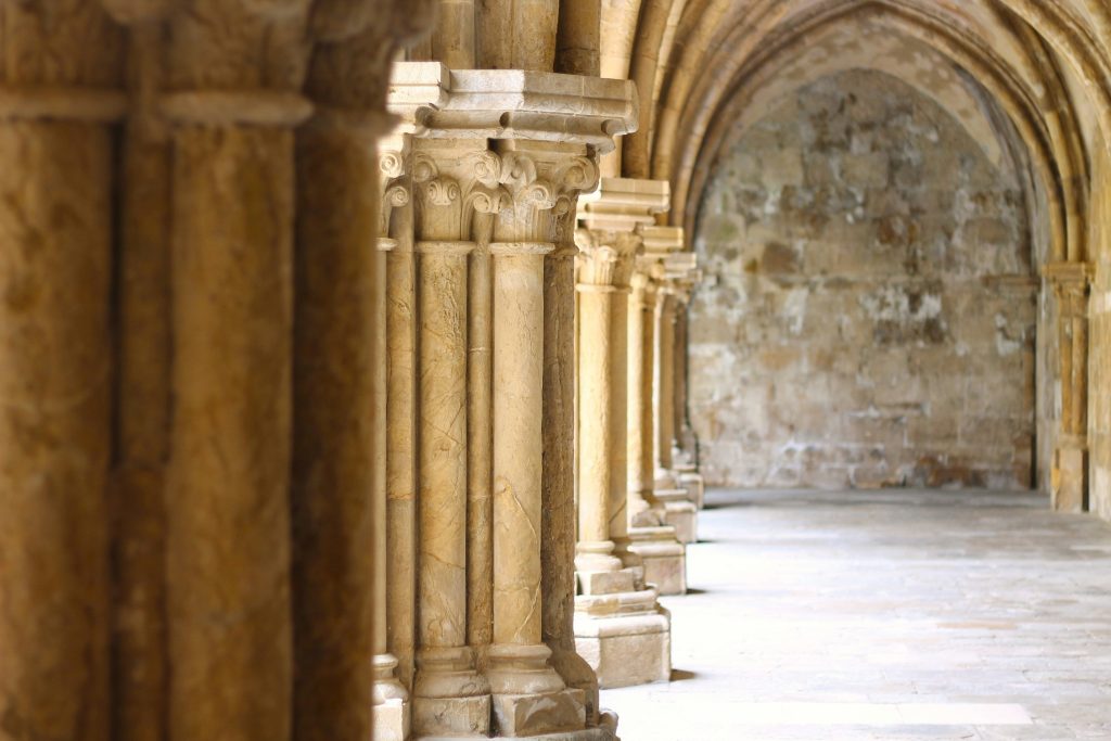 rui alves 5iftvhhqg s unsplash