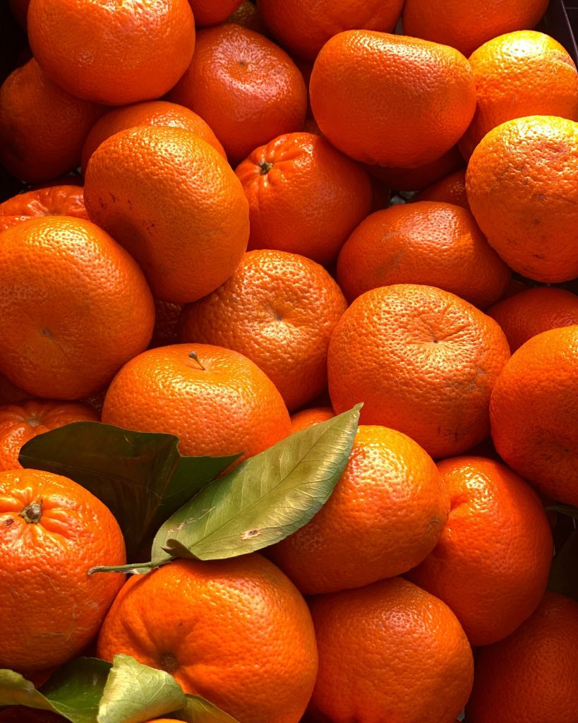 portugal oranges 1